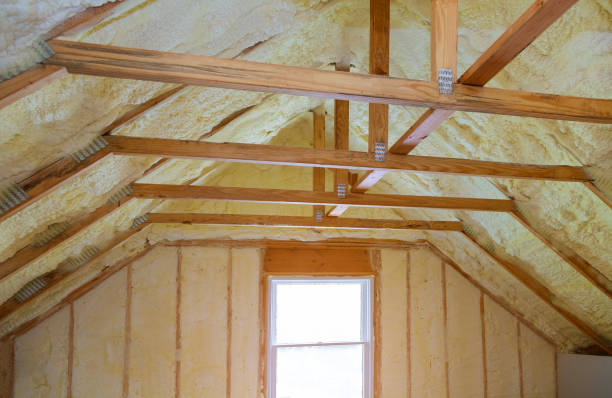 Best Geographic-Specific Insulation Services in Southmayd, TX