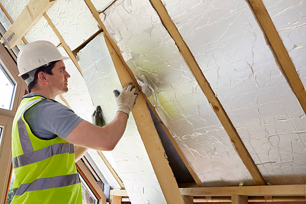 Best Spray Foam Insulation in Southmayd, TX