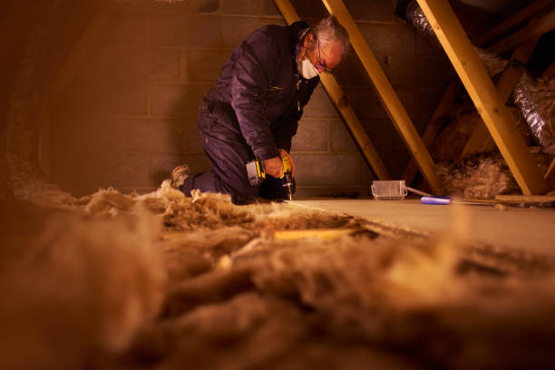Best Eco-Friendly Insulation in Southmayd, TX